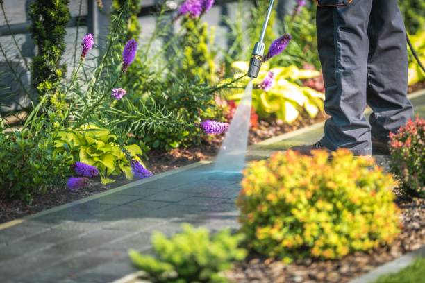 Best Pool Deck Cleaning  in Waynesboro, VA